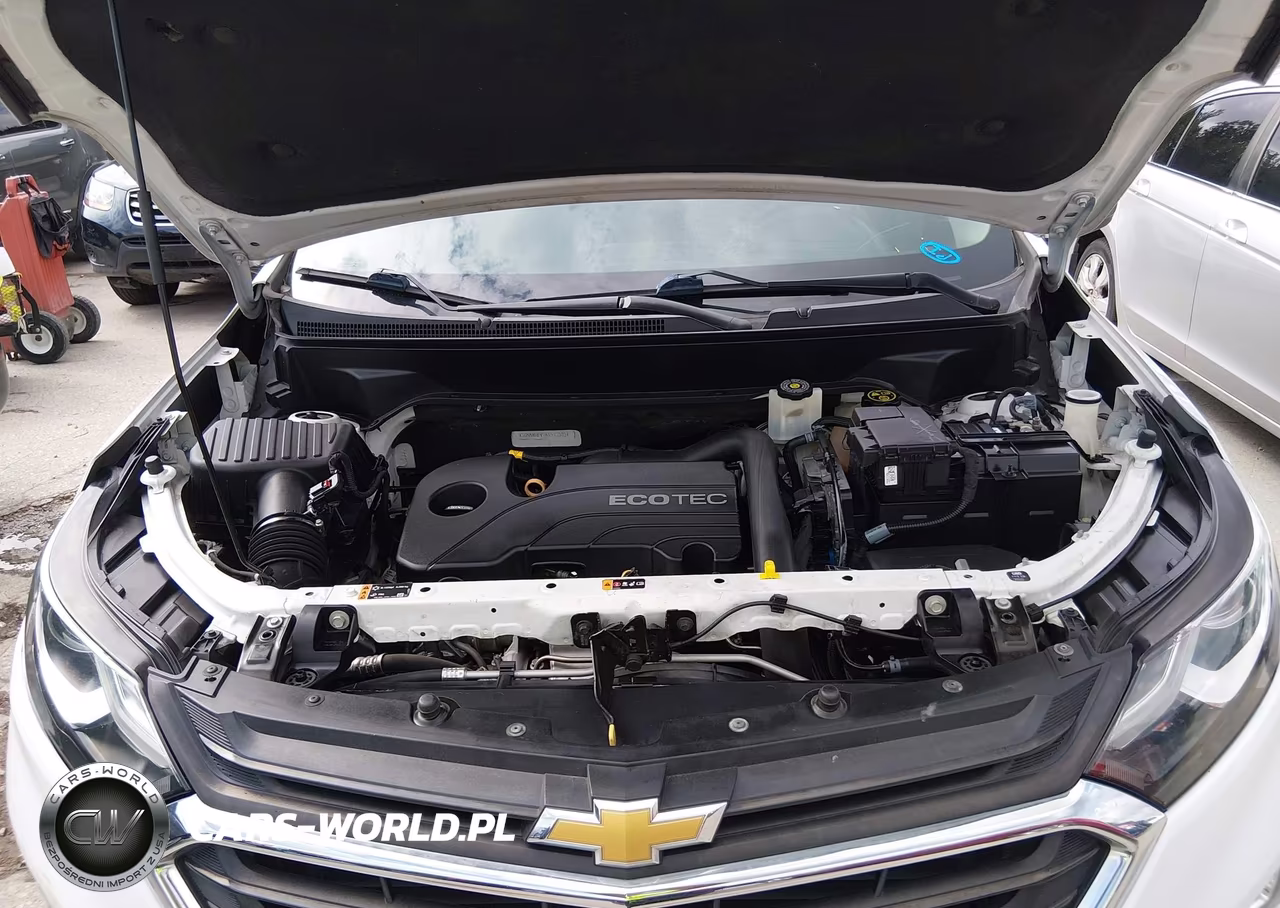 2019 Chevrolet Equinox Ls VIN:3GNAXHEV1KS573303 - 10