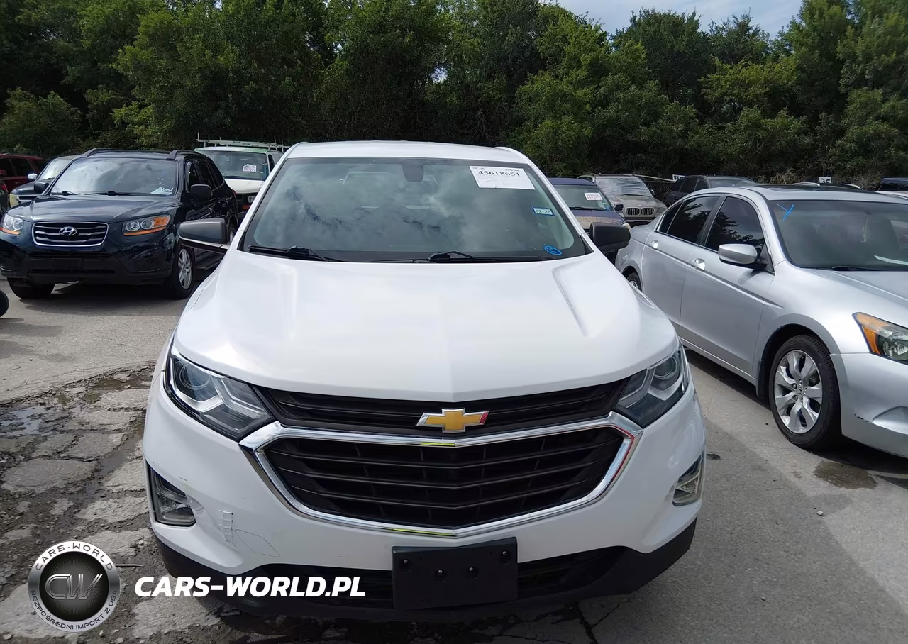 2019 Chevrolet Equinox Ls VIN:3GNAXHEV1KS573303 - 12