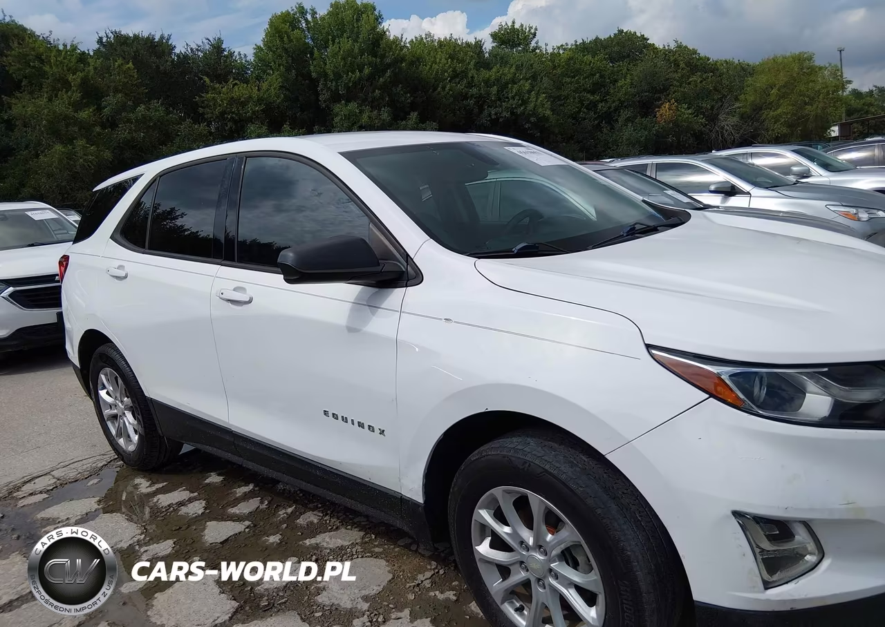 2019 Chevrolet Equinox Ls VIN:3GNAXHEV1KS573303 - 13