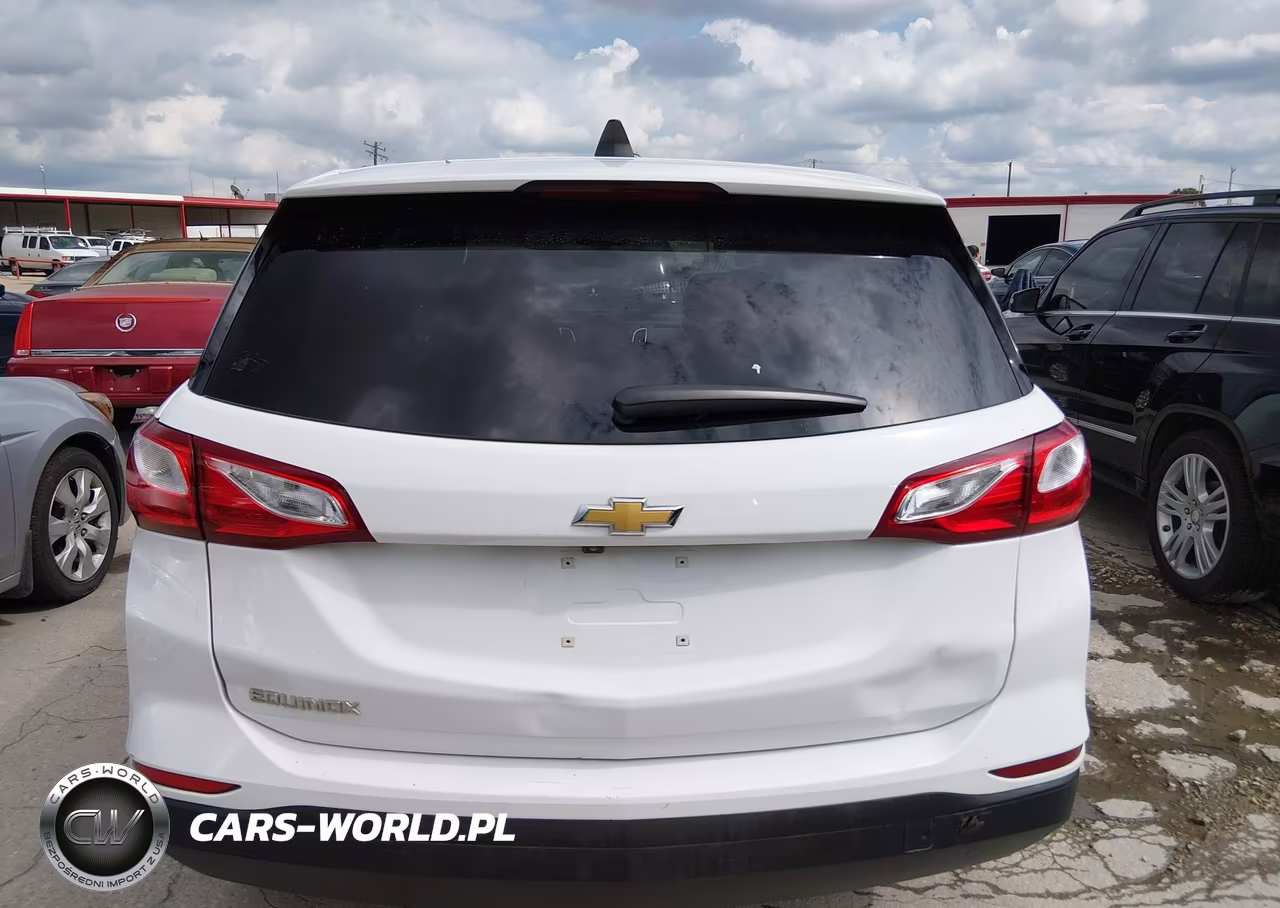 2019 Chevrolet Equinox Ls VIN:3GNAXHEV1KS573303 - 16