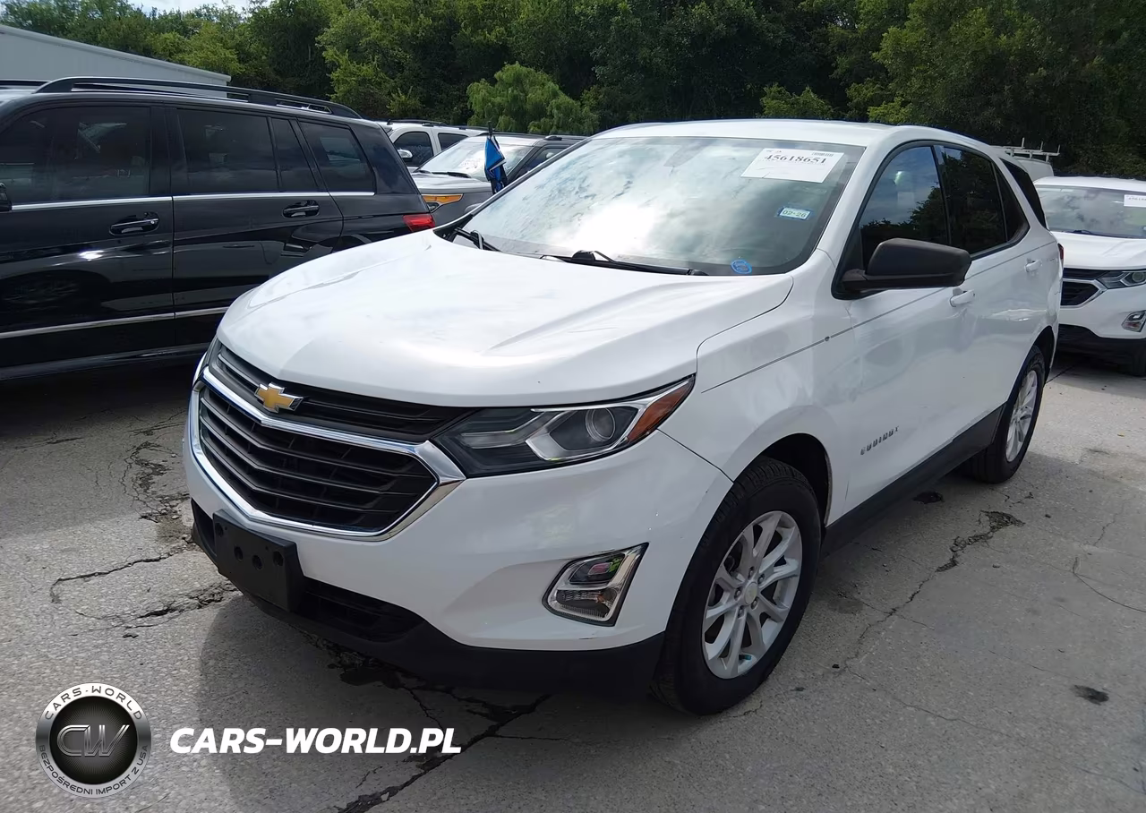 2019 Chevrolet Equinox Ls VIN:3GNAXHEV1KS573303 - 2