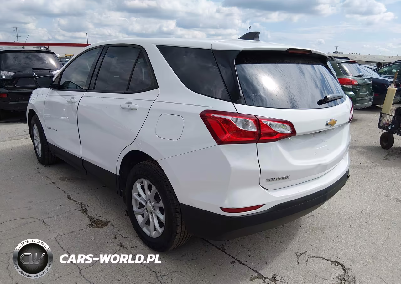 2019 Chevrolet Equinox Ls VIN:3GNAXHEV1KS573303 - 3