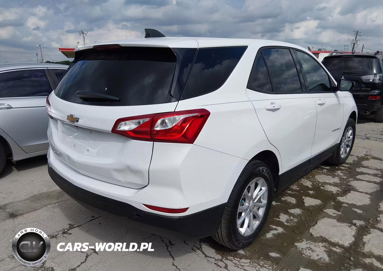 2019 Chevrolet Equinox Ls VIN:3GNAXHEV1KS573303 - 4