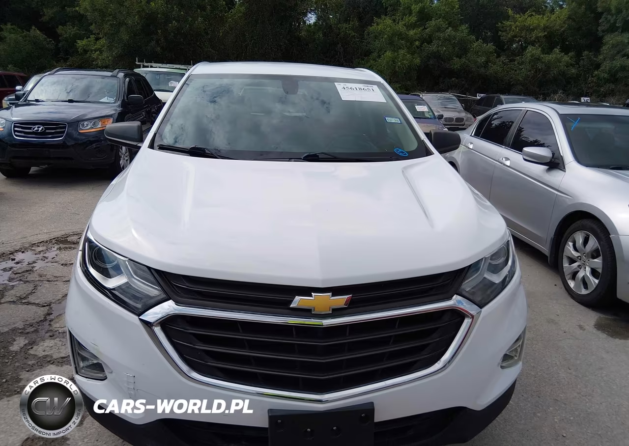 2019 Chevrolet Equinox Ls VIN:3GNAXHEV1KS573303 - 6