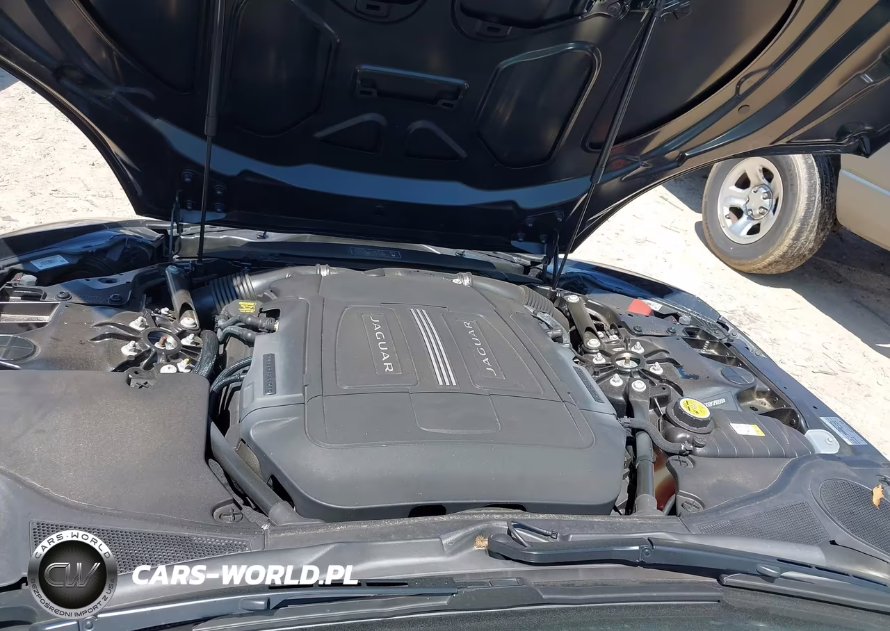 2016 Jaguar F-Type VIN:SAJWA6ET0G8K29899 - 10