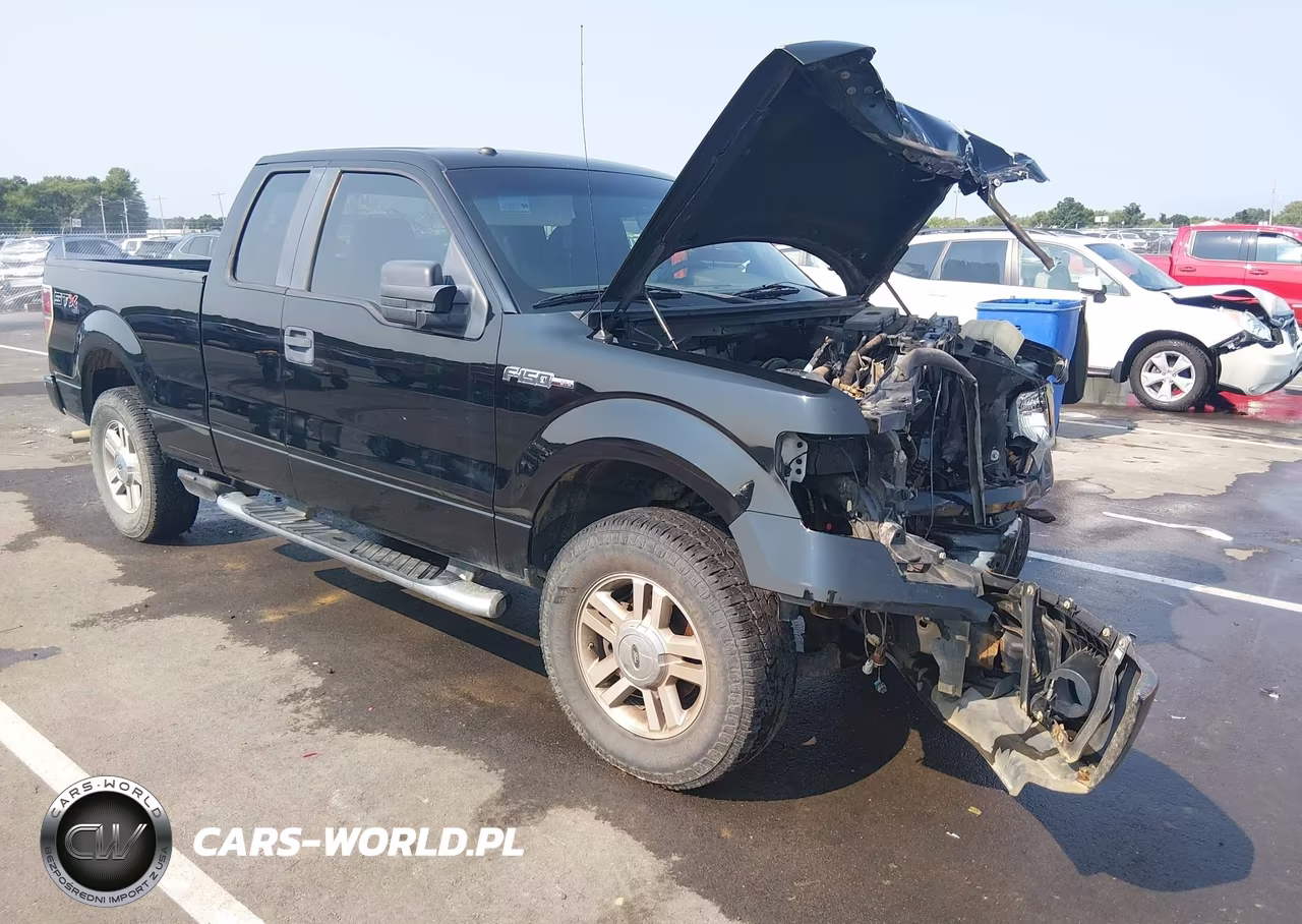 2009 Ford F-150 Stx-Xl-Xlt