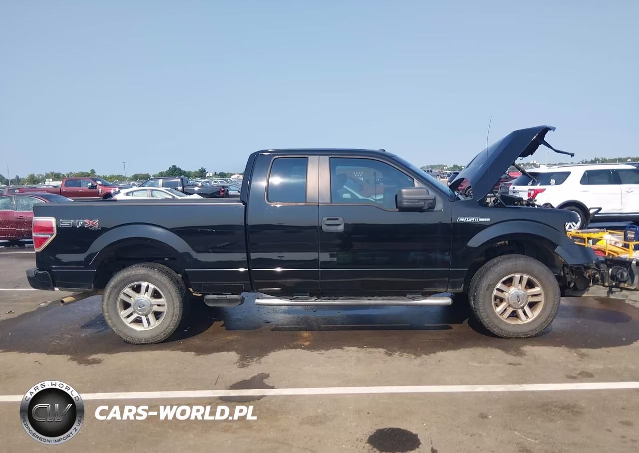 2009 Ford F-150 Stx-Xl-Xlt VIN:1FTRX14859KB59638 - 13