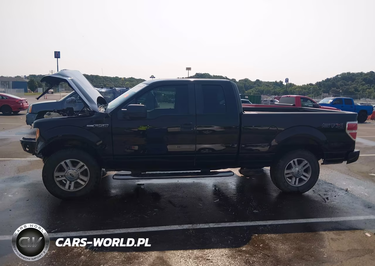 2009 Ford F-150 Stx-Xl-Xlt VIN:1FTRX14859KB59638 - 14