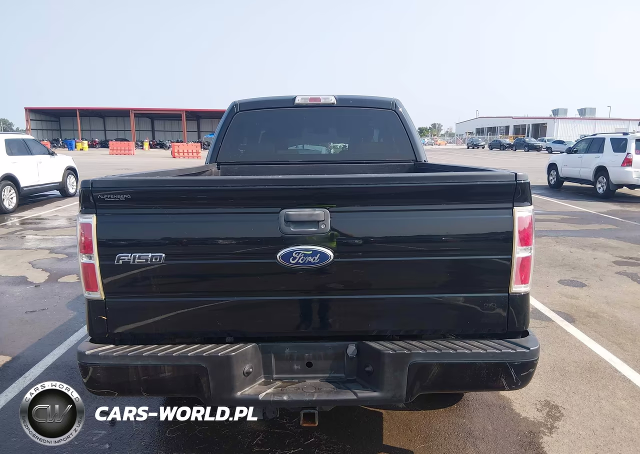 2009 Ford F-150 Stx-Xl-Xlt VIN:1FTRX14859KB59638 - 16