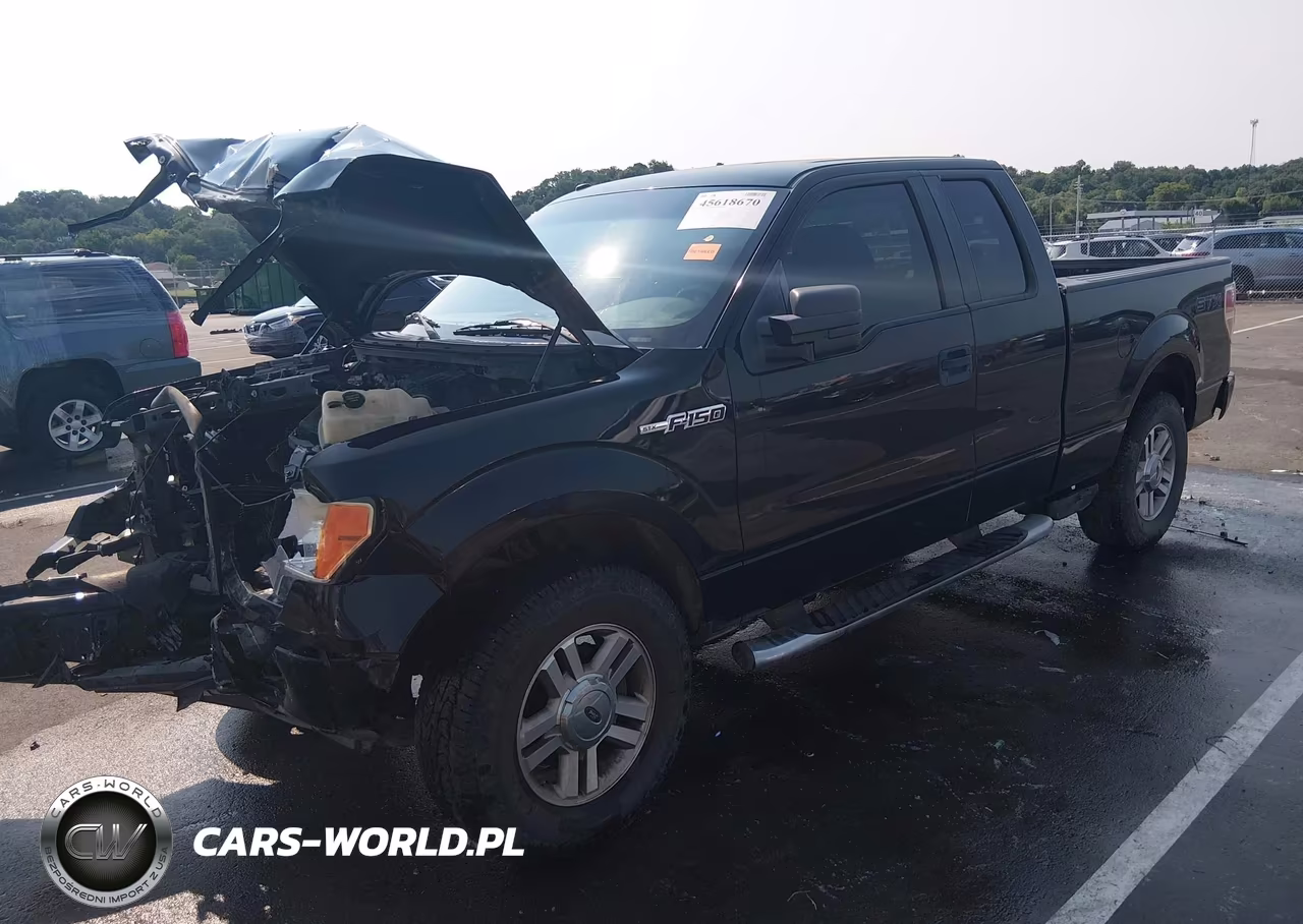 2009 Ford F-150 Stx-Xl-Xlt VIN:1FTRX14859KB59638 - 2