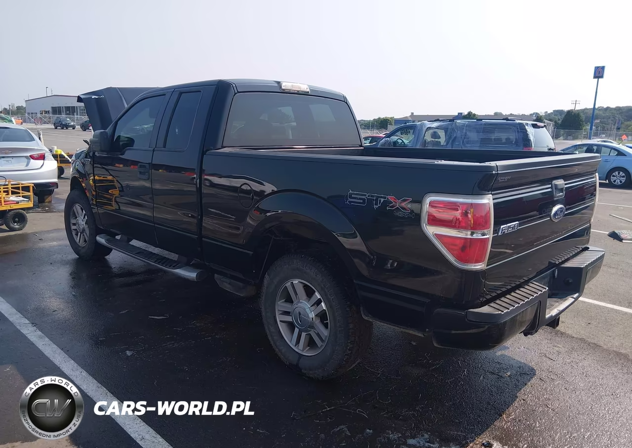 2009 Ford F-150 Stx-Xl-Xlt VIN:1FTRX14859KB59638 - 3