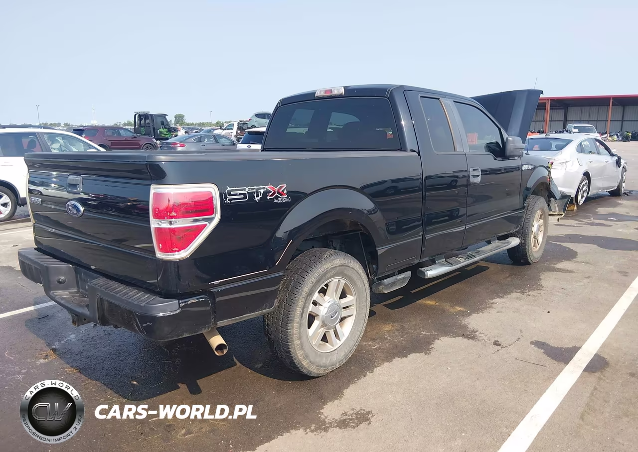 2009 Ford F-150 Stx-Xl-Xlt VIN:1FTRX14859KB59638 - 4