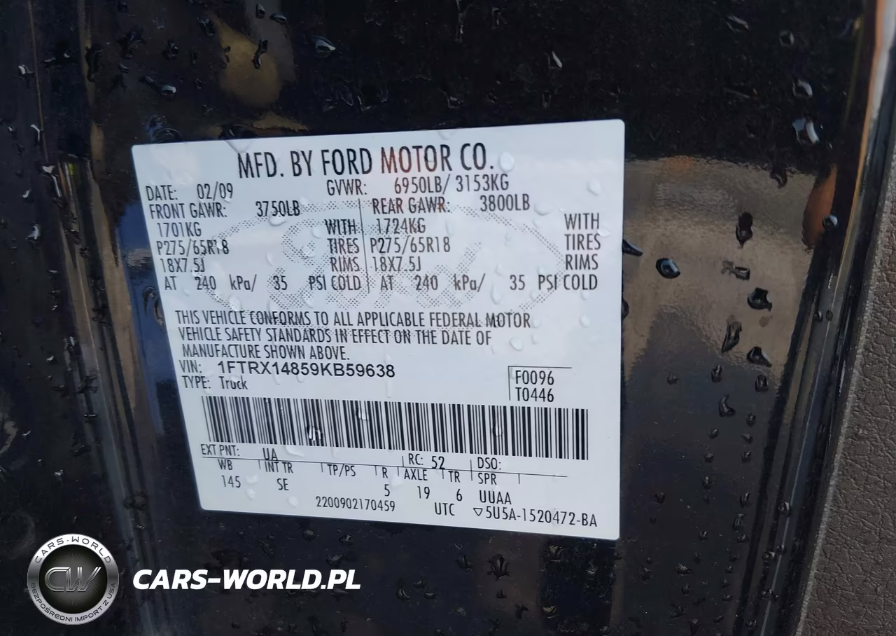 2009 Ford F-150 Stx-Xl-Xlt VIN:1FTRX14859KB59638 - 9