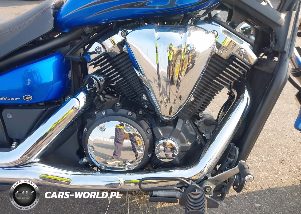 2011 Yamaha Xvs1300 Cu VIN:JYAVP33E6BA000927 - 8