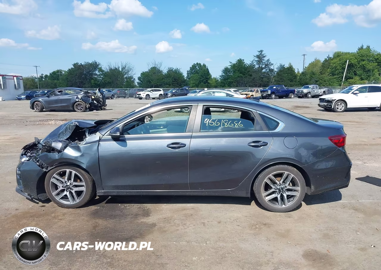 2019 Kia Forte Ex VIN:3KPF54AD7KE028411 - 14