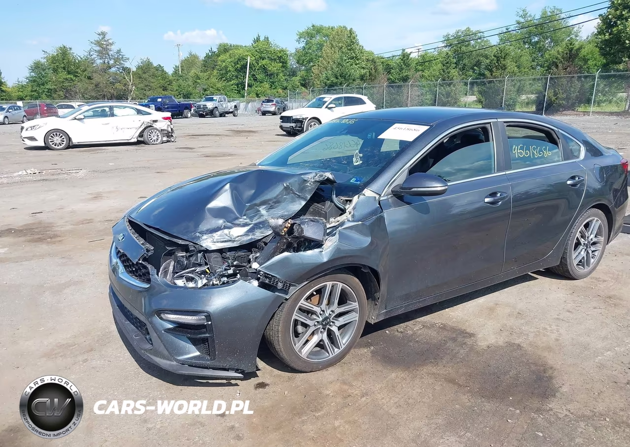2019 Kia Forte Ex VIN:3KPF54AD7KE028411 - 2