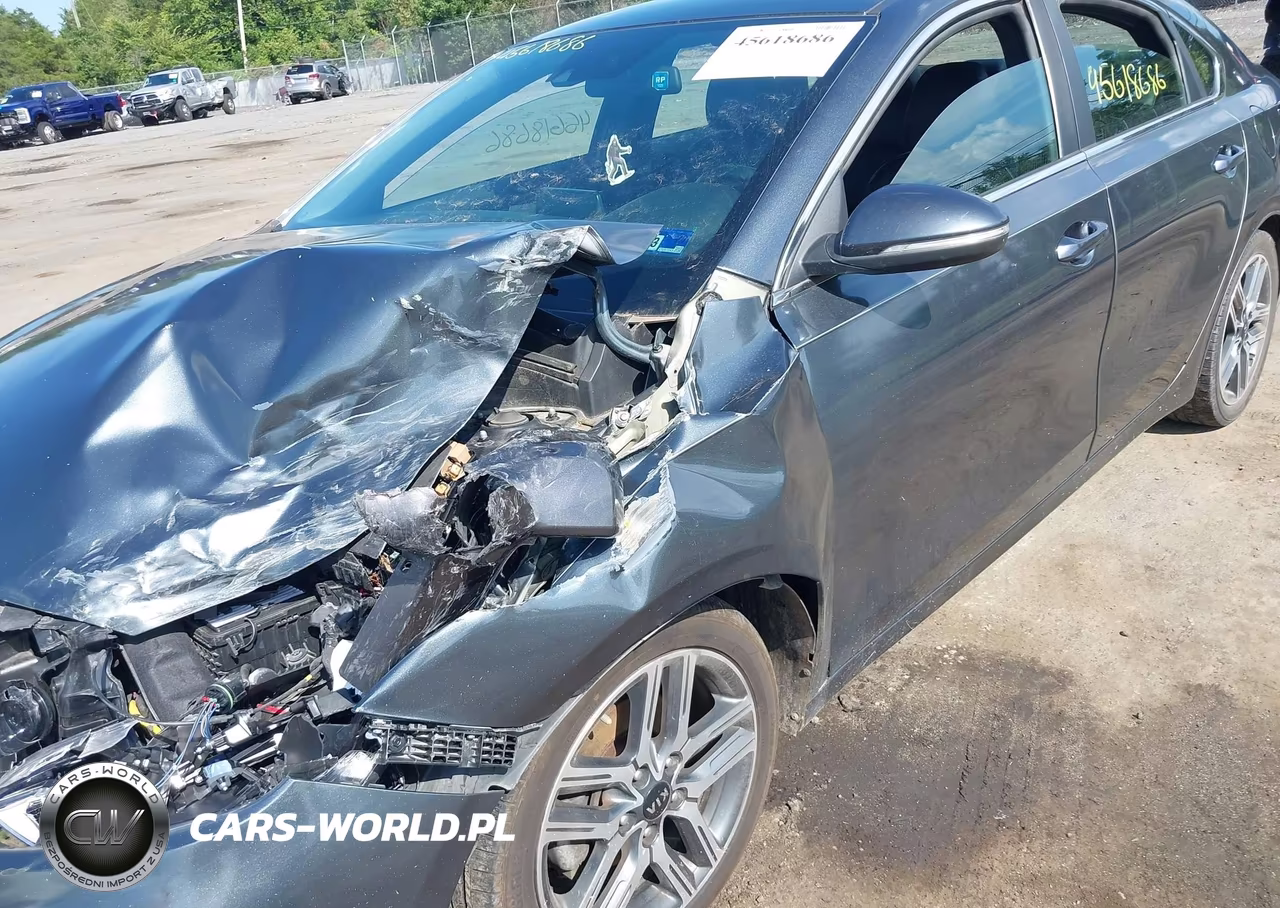2019 Kia Forte Ex VIN:3KPF54AD7KE028411 - 6