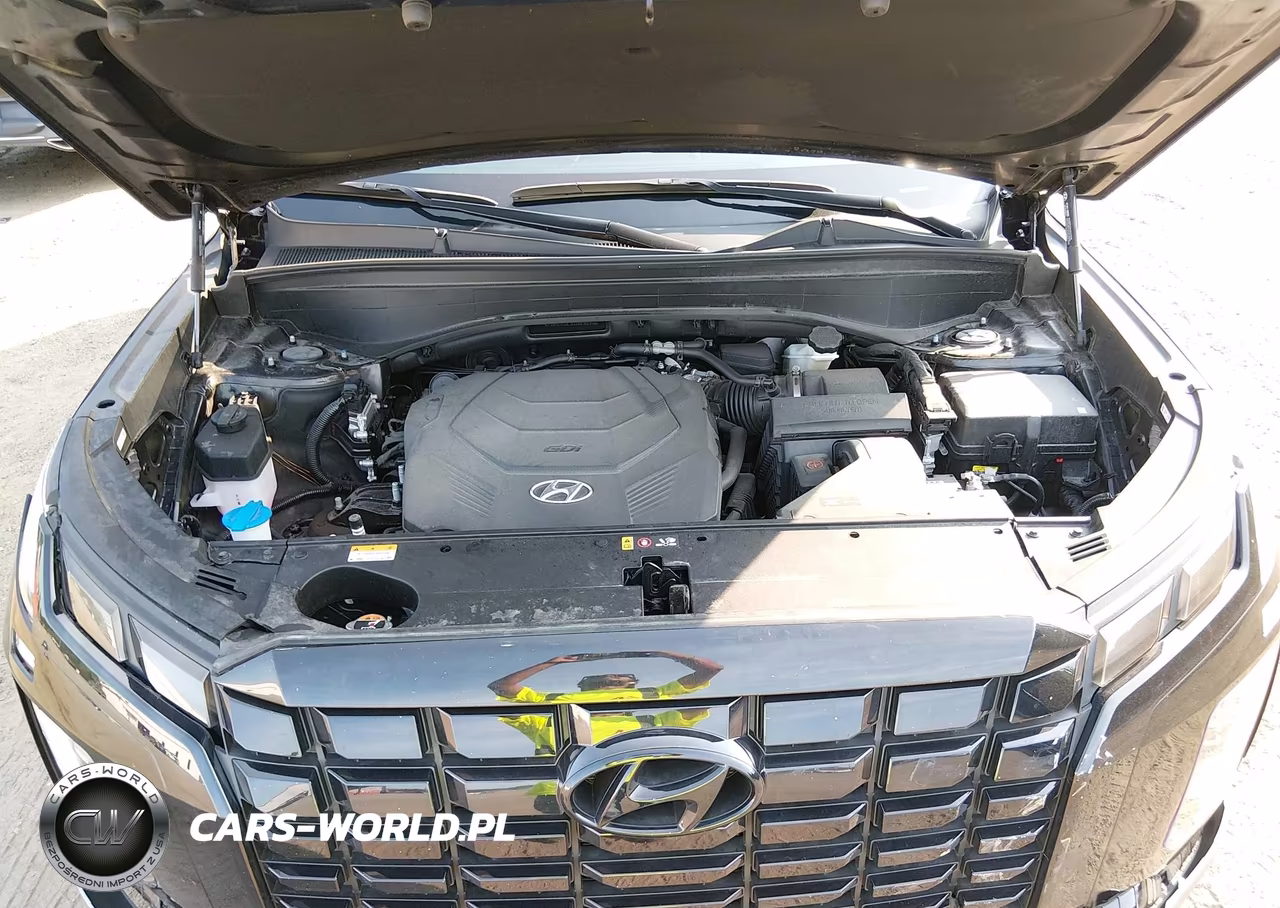 2025 Hyundai Palisade Sel VIN:KM8R2DGE3SU898966 - 10