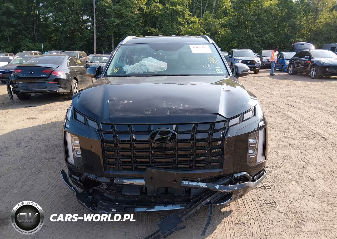 2025 Hyundai Palisade Sel VIN:KM8R2DGE3SU898966 - 12