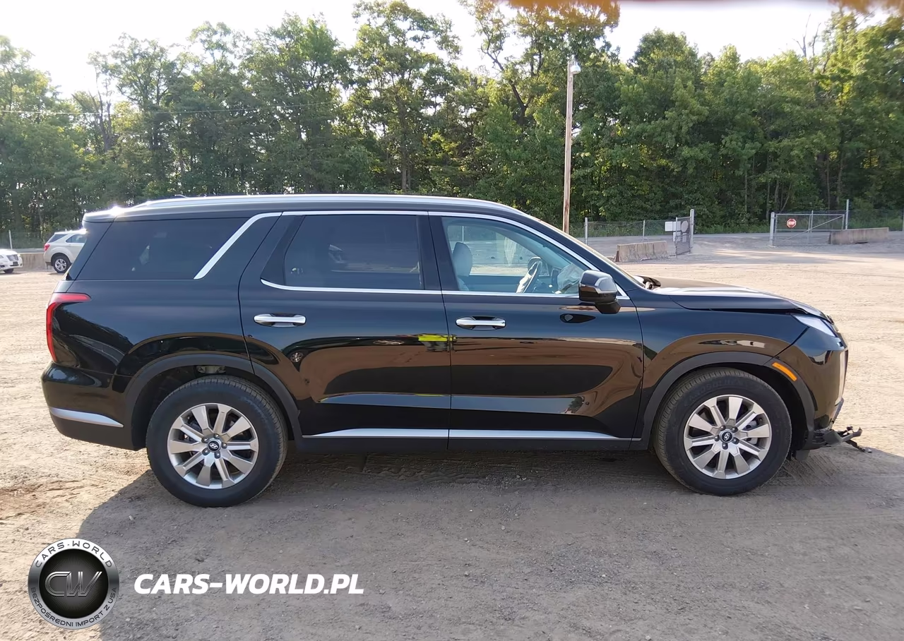 2025 Hyundai Palisade Sel VIN:KM8R2DGE3SU898966 - 13