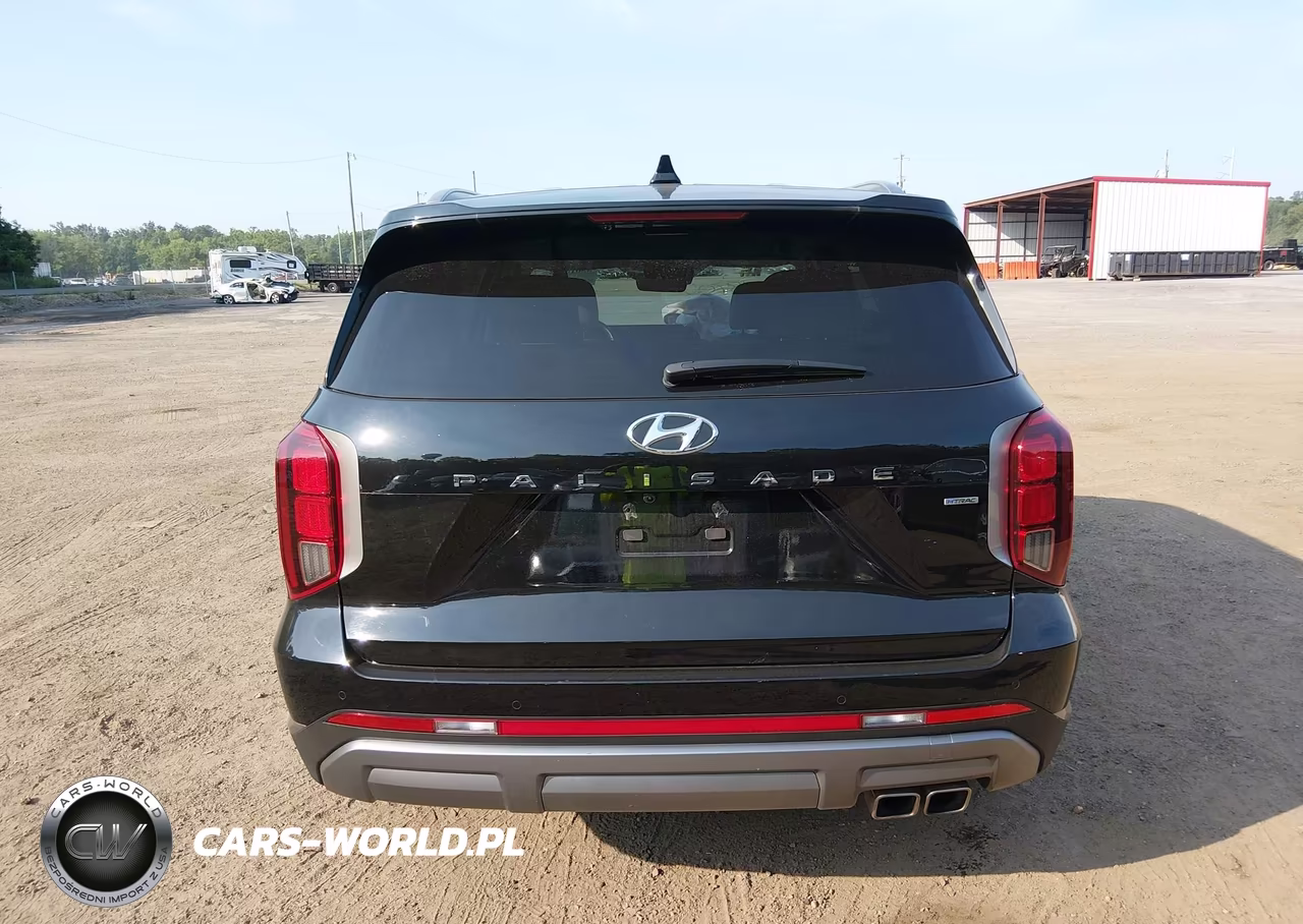 2025 Hyundai Palisade Sel VIN:KM8R2DGE3SU898966 - 16