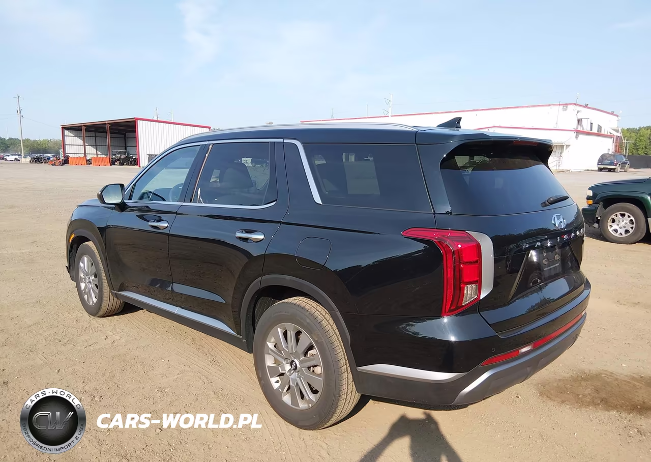 2025 Hyundai Palisade Sel VIN:KM8R2DGE3SU898966 - 3