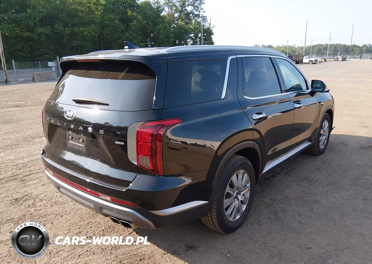2025 Hyundai Palisade Sel VIN:KM8R2DGE3SU898966 - 4