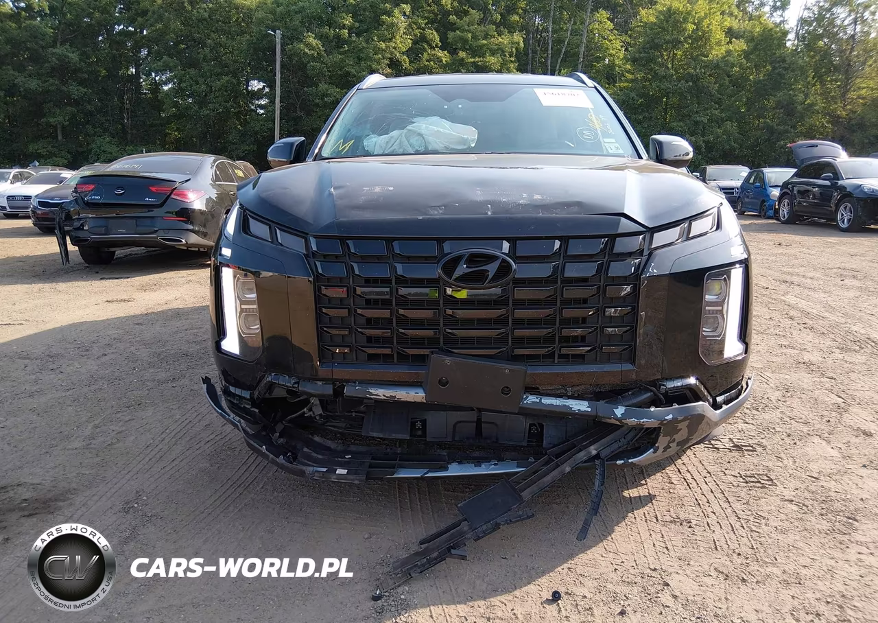2025 Hyundai Palisade Sel VIN:KM8R2DGE3SU898966 - 6