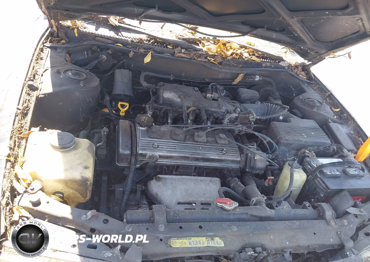 1997 Toyota Corolla Ce VIN:1NXBA02E8VZ523809 - 10