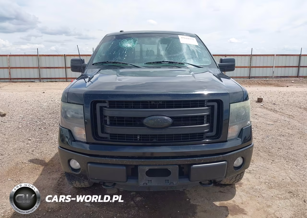 2014 Ford F-150 Fx4-King Ranch-Lariat-Platinum-Stx-Xl-Xlt VIN:1FTFW1EFXEFB09369 - 12
