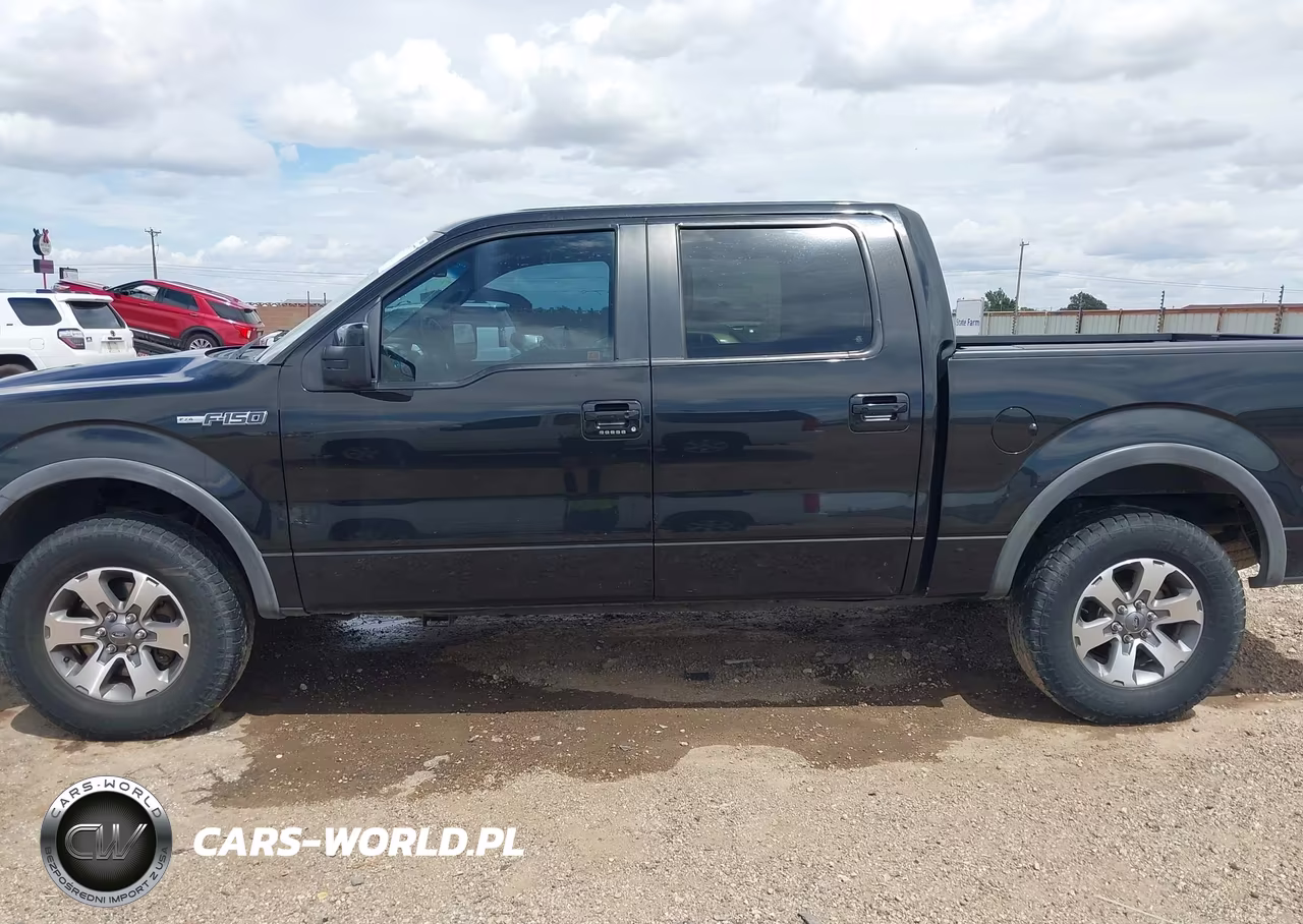 2014 Ford F-150 Fx4-King Ranch-Lariat-Platinum-Stx-Xl-Xlt VIN:1FTFW1EFXEFB09369 - 14