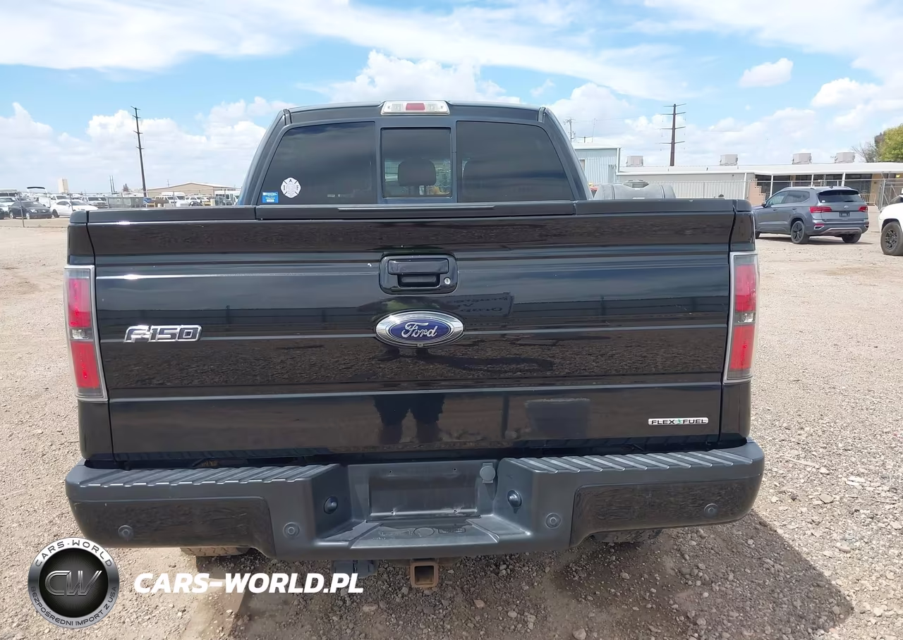 2014 Ford F-150 Fx4-King Ranch-Lariat-Platinum-Stx-Xl-Xlt VIN:1FTFW1EFXEFB09369 - 16