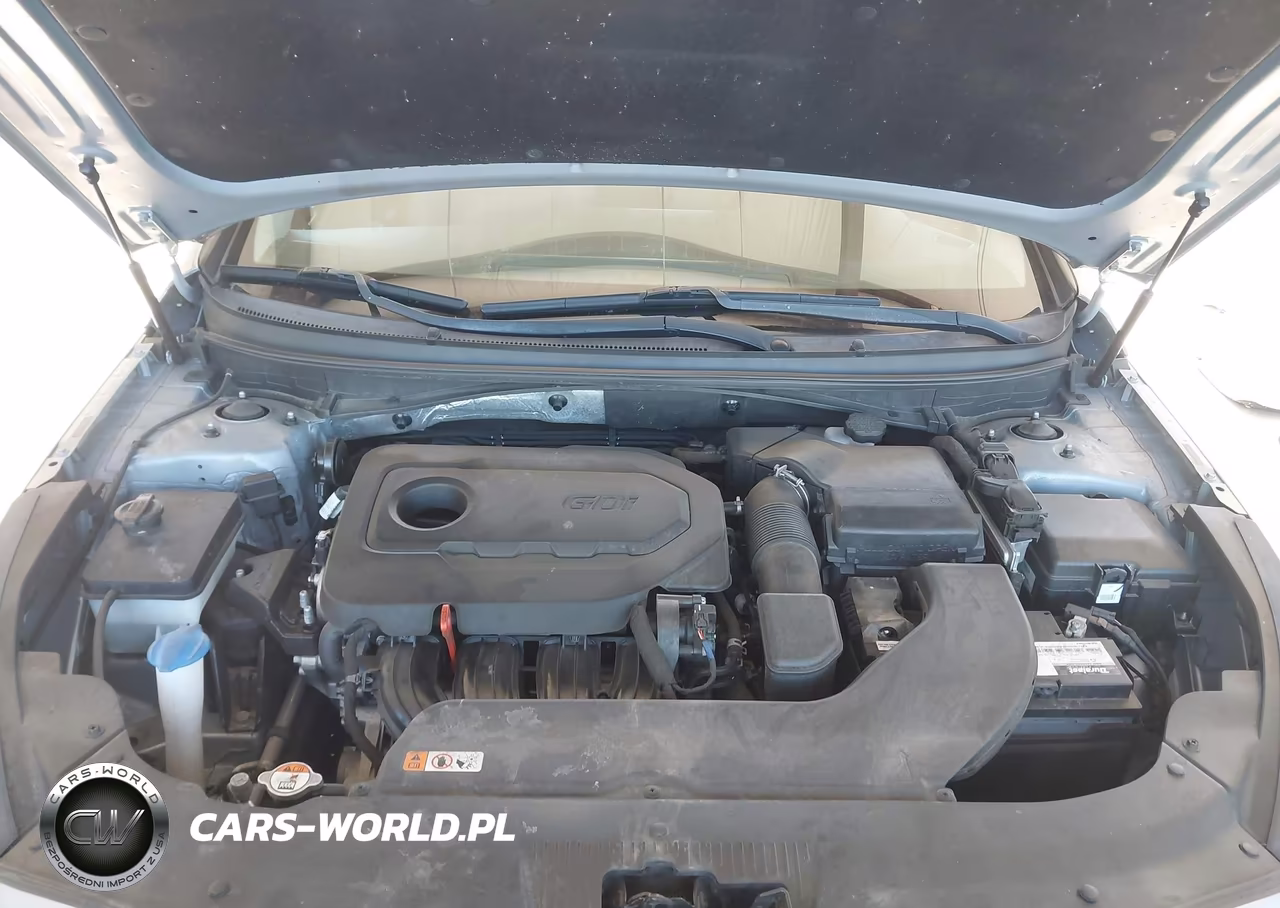 2016 Hyundai Sonata Sport VIN:5NPE34AF1GH430978 - 10