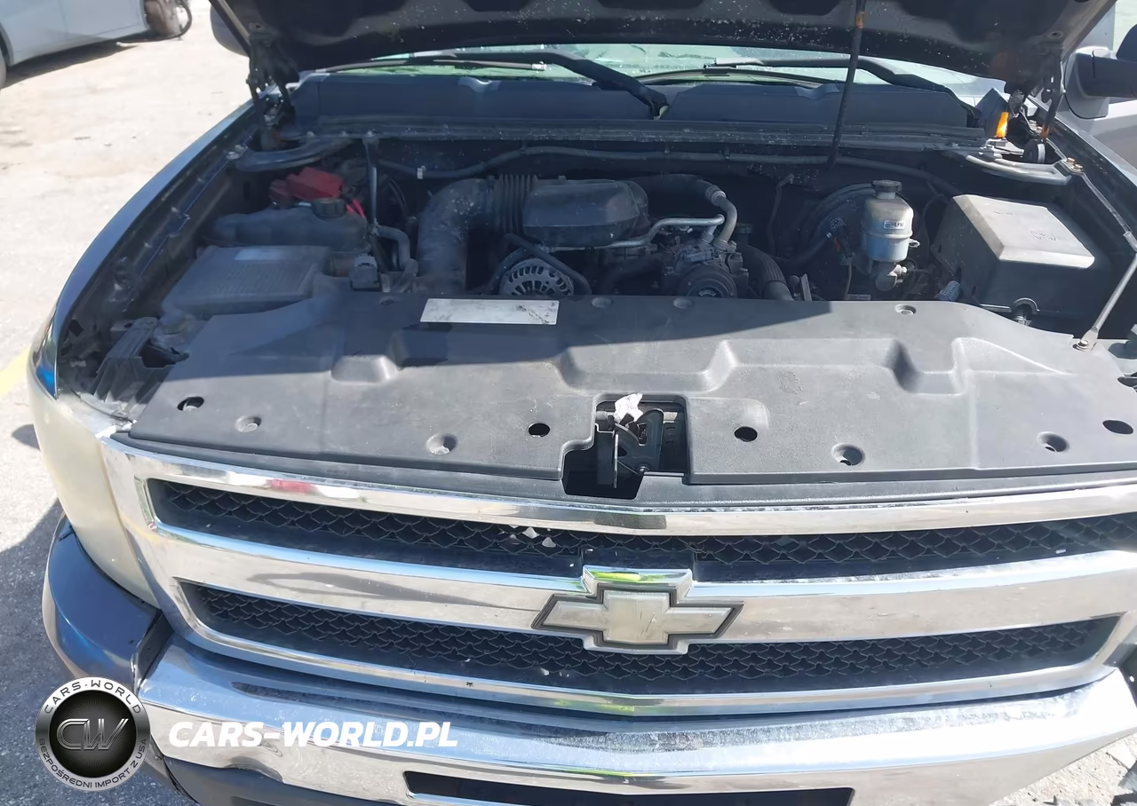2011 Chevrolet Silverado 1500 Work Truck VIN:1GCRCPEX1BZ211557 - 10