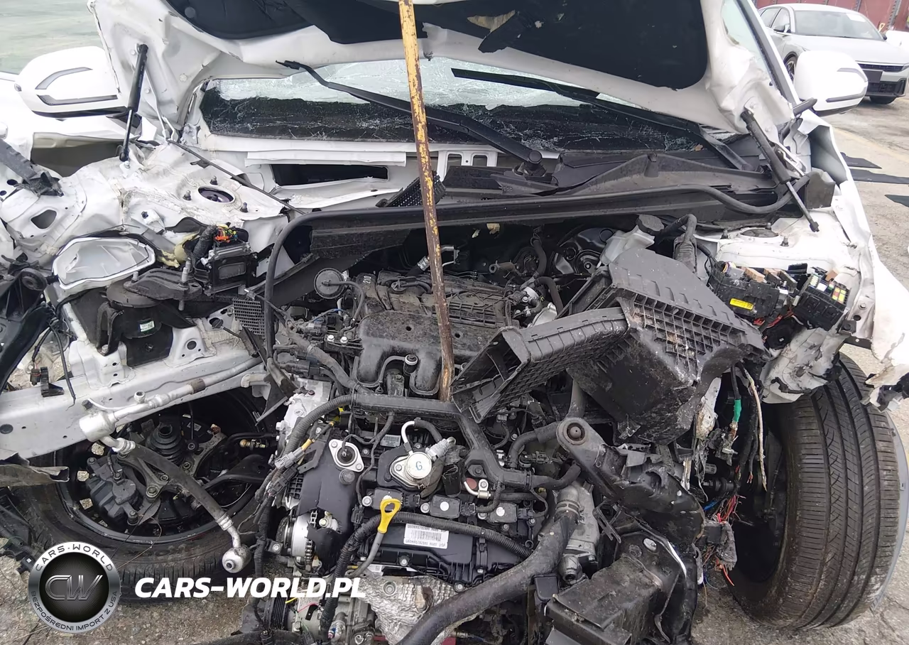 2025 Hyundai Palisade Calligraphy VIN:KM8R7DGE1SU809400 - 10