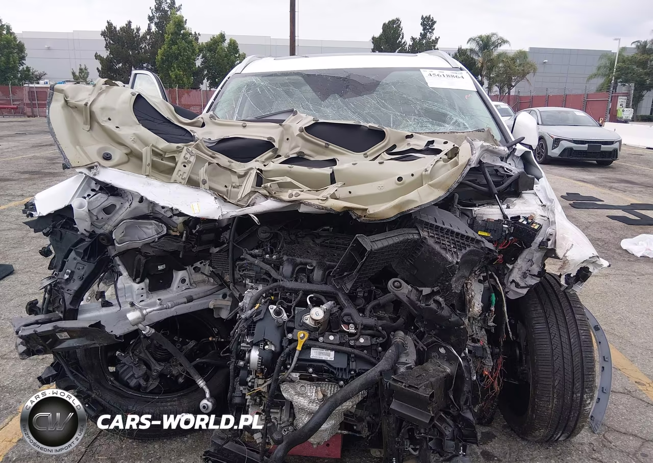 2025 Hyundai Palisade Calligraphy VIN:KM8R7DGE1SU809400 - 12