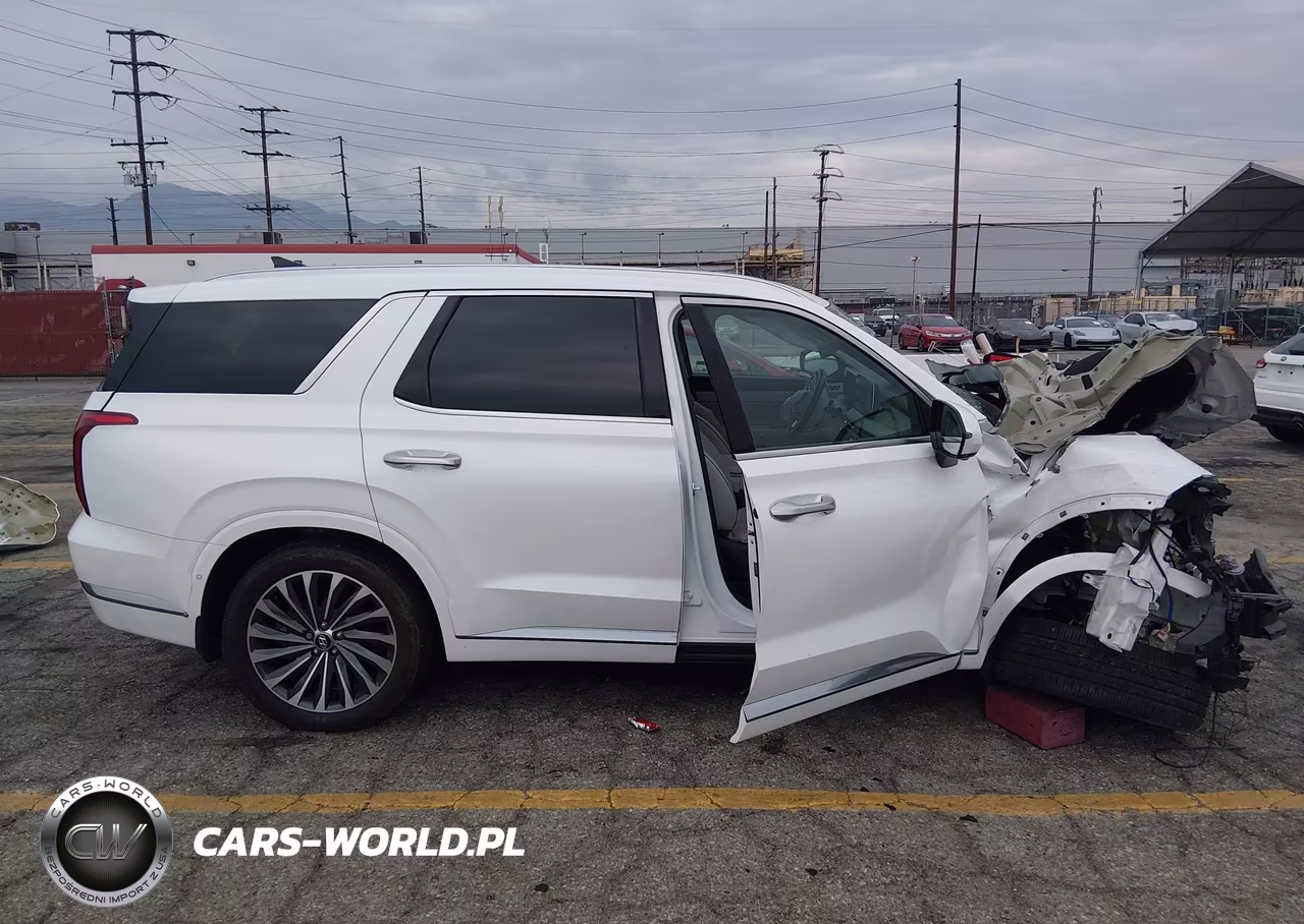 2025 Hyundai Palisade Calligraphy VIN:KM8R7DGE1SU809400 - 13