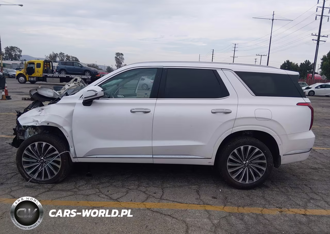2025 Hyundai Palisade Calligraphy VIN:KM8R7DGE1SU809400 - 14