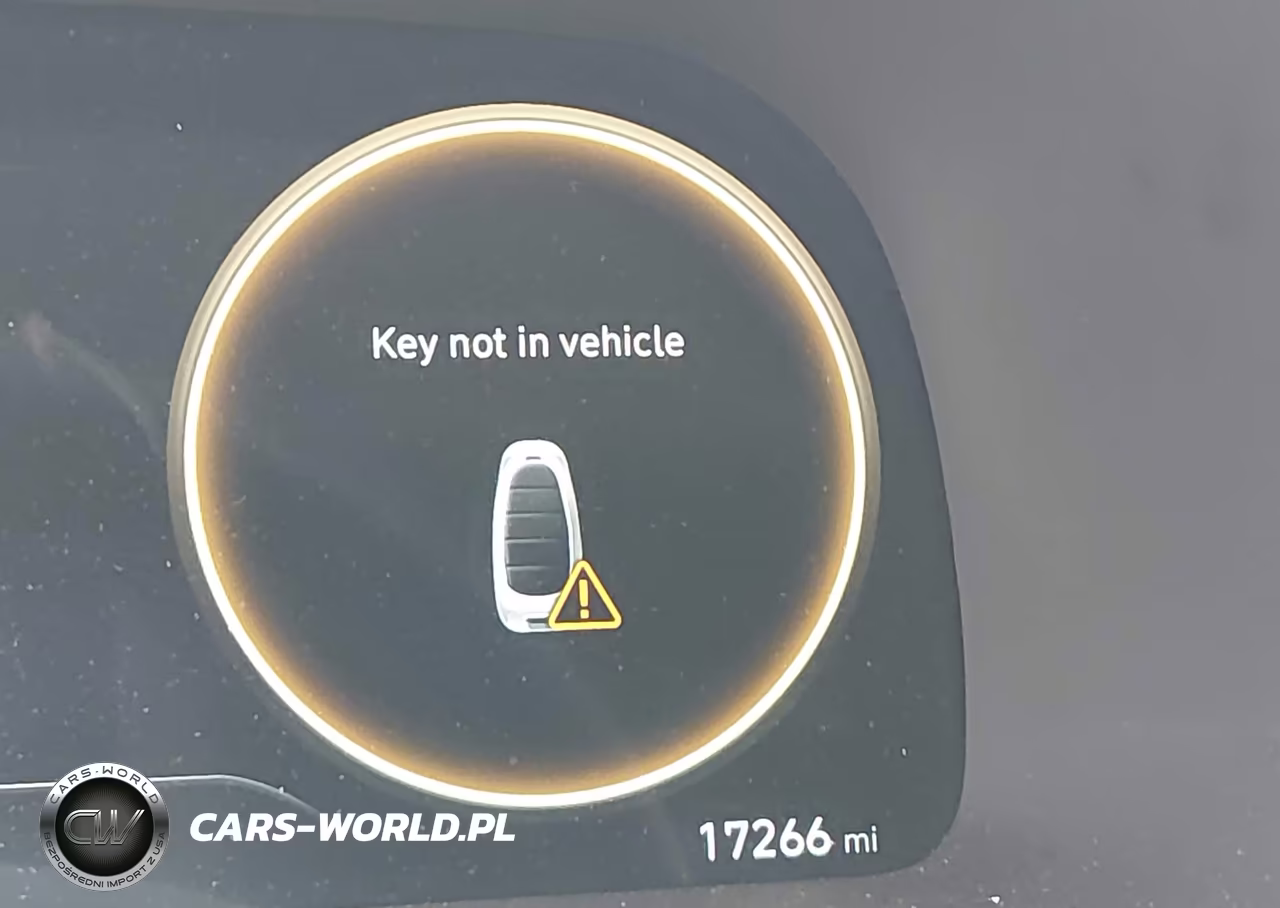 2025 Hyundai Palisade Calligraphy VIN:KM8R7DGE1SU809400 - 15
