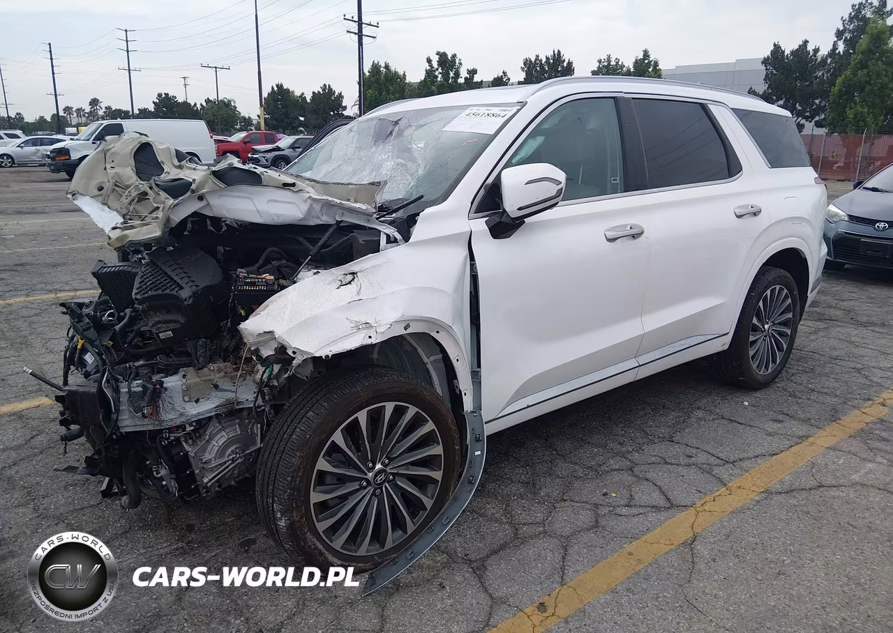 2025 Hyundai Palisade Calligraphy VIN:KM8R7DGE1SU809400 - 2