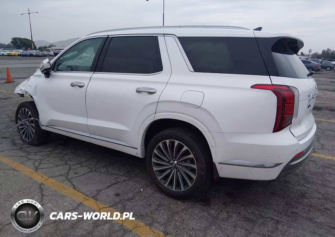 2025 Hyundai Palisade Calligraphy VIN:KM8R7DGE1SU809400 - 3
