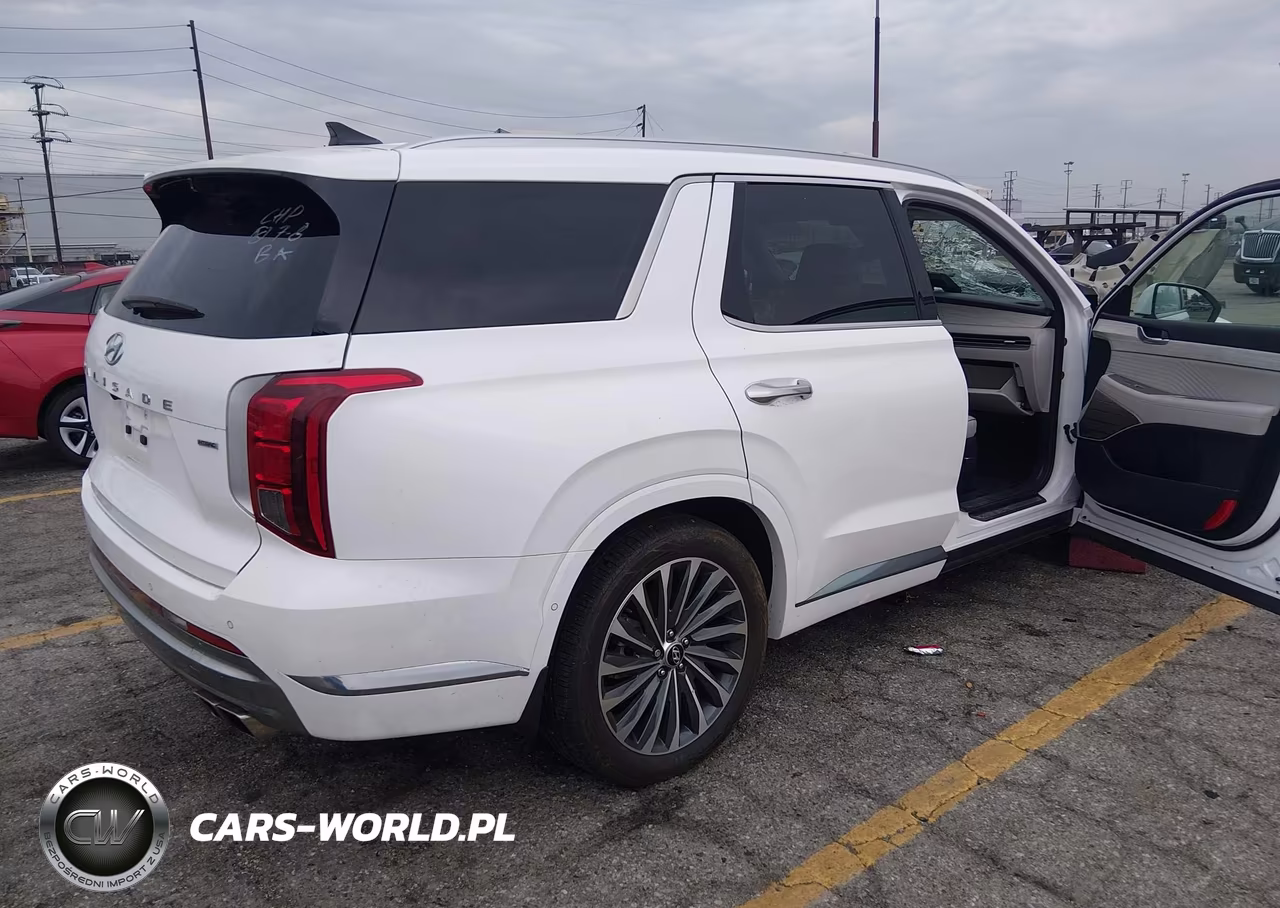 2025 Hyundai Palisade Calligraphy VIN:KM8R7DGE1SU809400 - 4