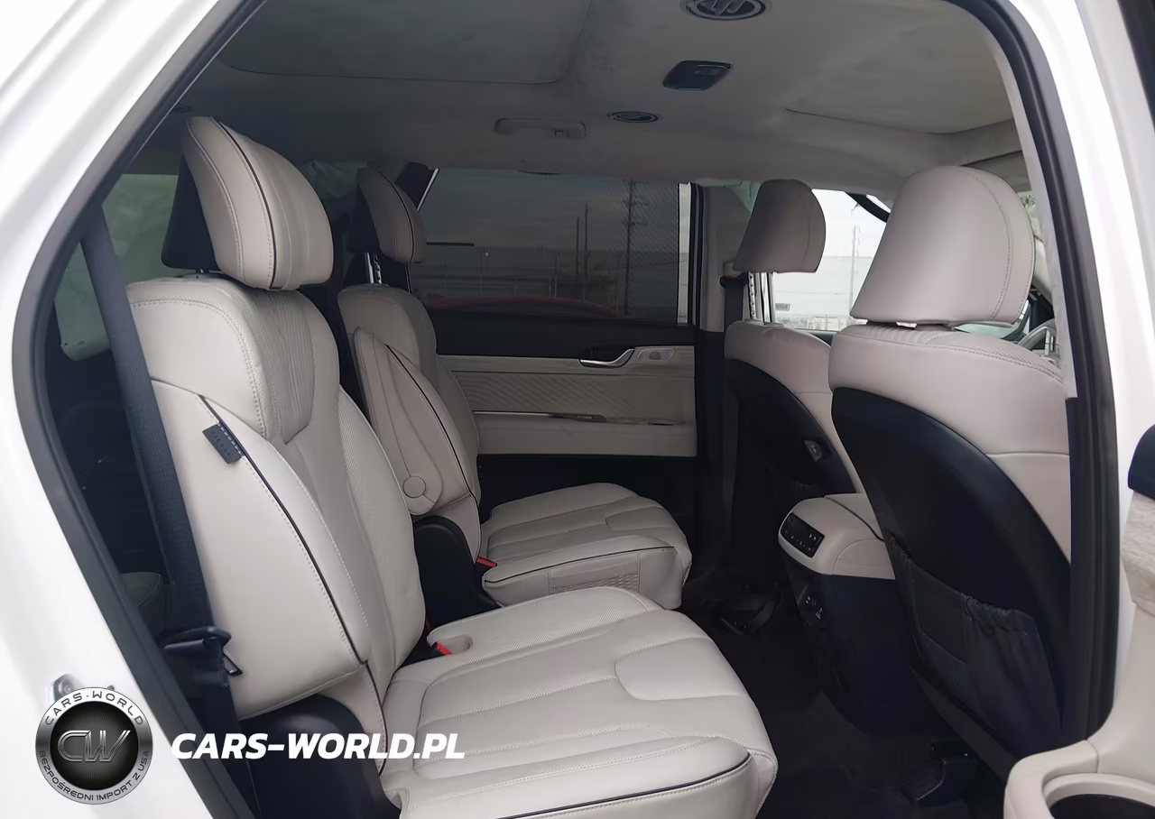 2025 Hyundai Palisade Calligraphy VIN:KM8R7DGE1SU809400 - 8