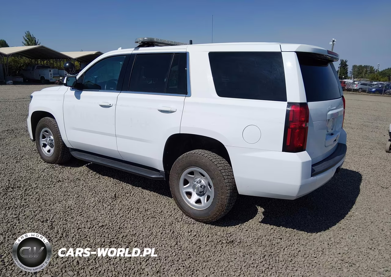 2018 Chevrolet Tahoe Commercial Fleet VIN:1GNSKFEC8JR316033 - 3