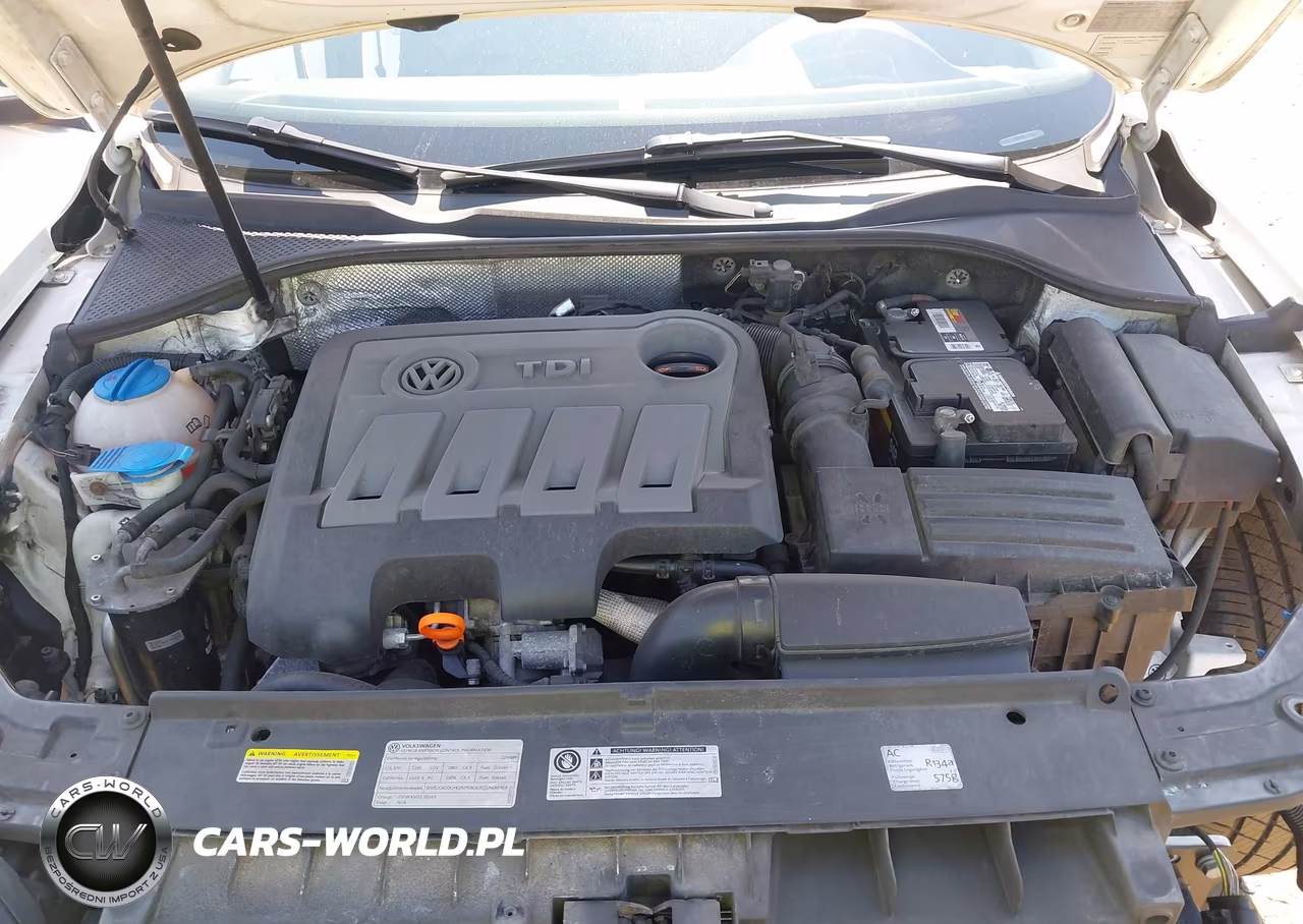 2013 Volkswagen Passat 2.0L Tdi Sel Premium VIN:1VWCN7A30DC138445 - 10