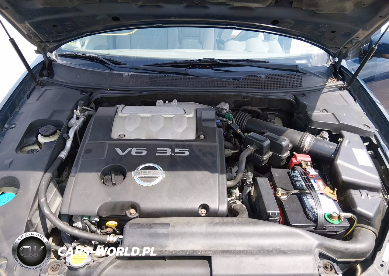 2004 Nissan Maxima 3.5 Se VIN:1N4BA41E14C811842 - 10
