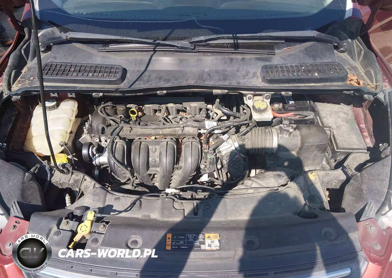 2016 Ford Escape Se VIN:1FMCU0G71GUB39749 - 10