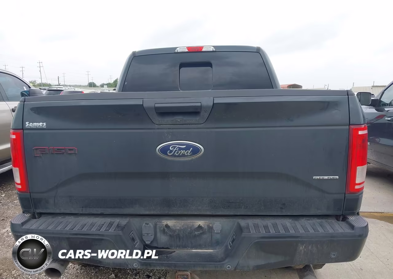 2016 Ford F-150 Xlt VIN:1FTEW1EF4GFB10726 - 16