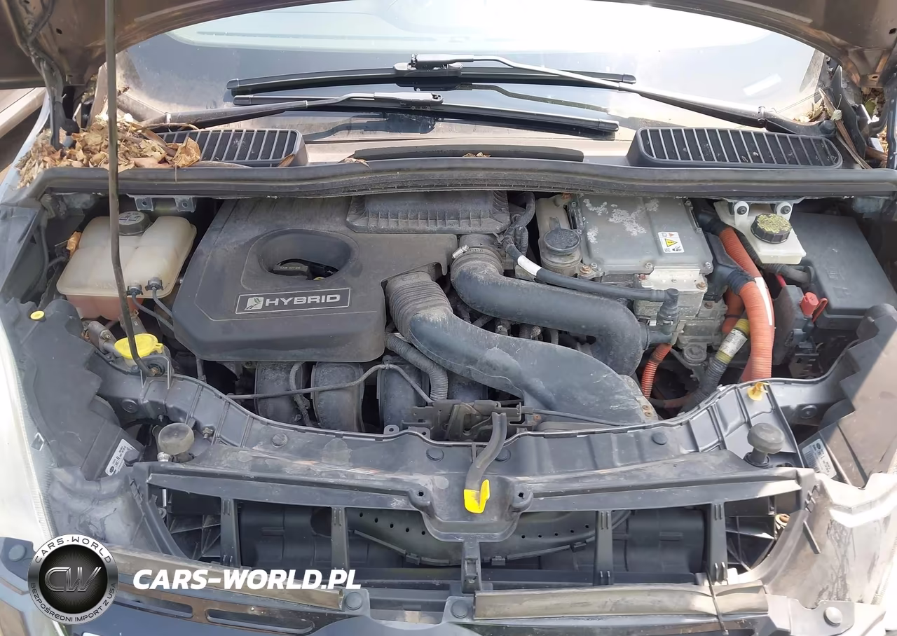 2013 Ford C-Max Hybrid Se VIN:1FADP5AU3DL504368 - 10