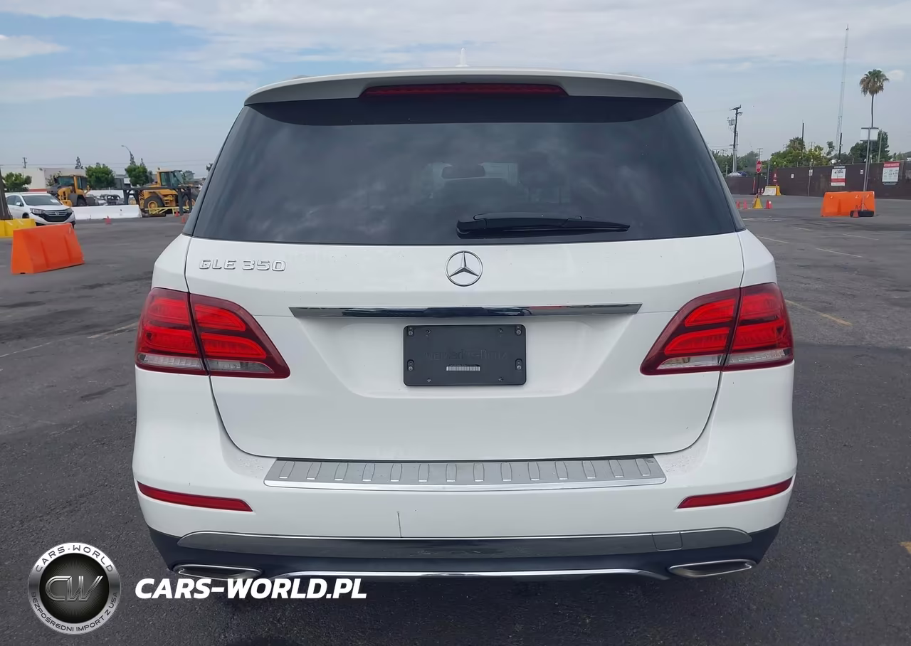 2017 Mercedes-Benz Gle 350 VIN:4JGDA5JB2HA835501 - 16